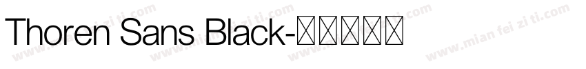 Thoren Sans Black字体转换